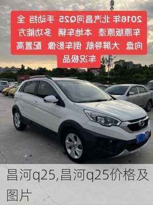 昌河q25,昌河q25价格及图片