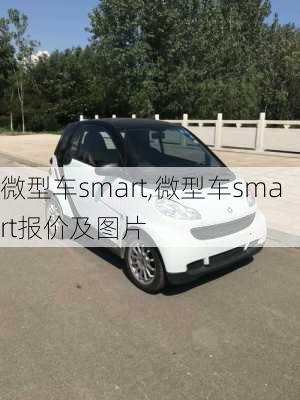 微型车smart,微型车smart报价及图片