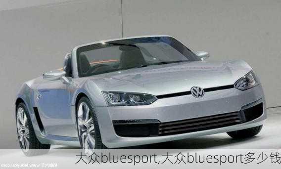 大众bluesport,大众bluesport多少钱