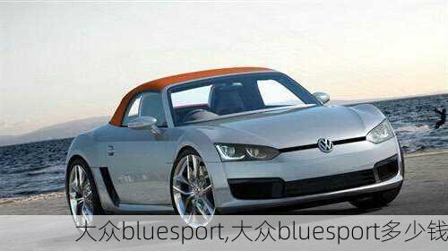 大众bluesport,大众bluesport多少钱