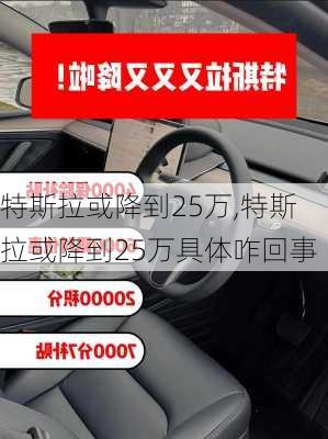 特斯拉或降到25万,特斯拉或降到25万具体咋回事