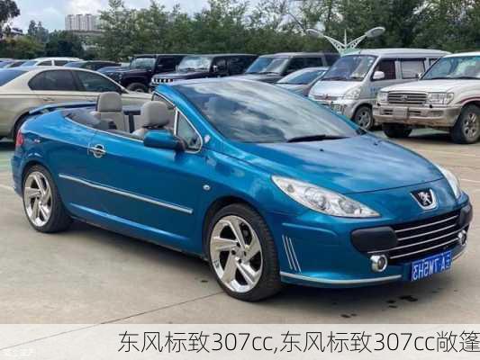 东风标致307cc,东风标致307cc敞篷