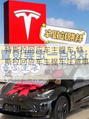 特斯拉回应车主提车,特斯拉回应车主提车注意事项