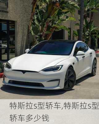 特斯拉s型轿车,特斯拉s型轿车多少钱