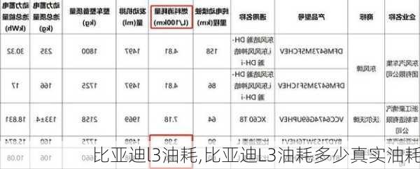 比亚迪l3油耗,比亚迪L3油耗多少真实油耗