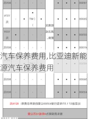 汽车保养费用,比亚迪新能源汽车保养费用