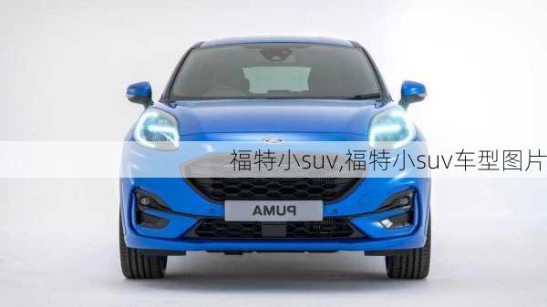 福特小suv,福特小suv车型图片