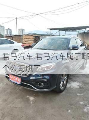 君马汽车,君马汽车属于哪个公司旗下