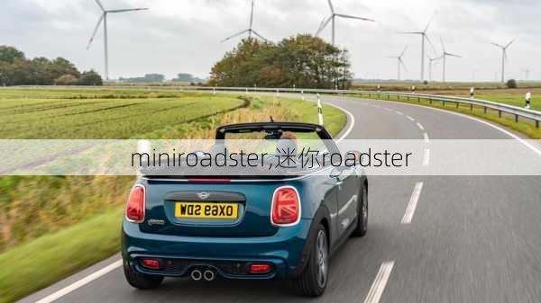 miniroadster,迷你roadster