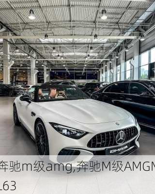 奔驰m级amg,奔驰M级AMGML63