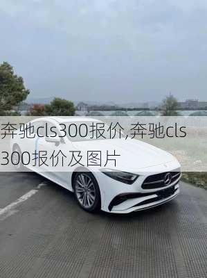 奔驰cls300报价,奔驰cls300报价及图片