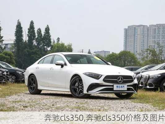 奔驰cls350,奔驰cls350价格及图片