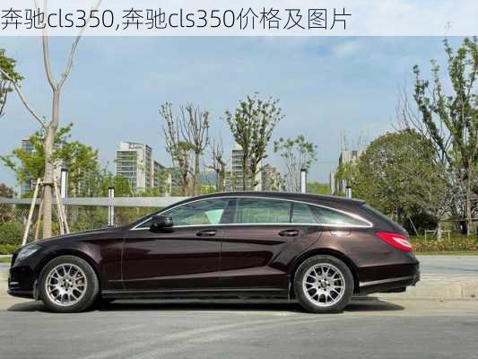 奔驰cls350,奔驰cls350价格及图片