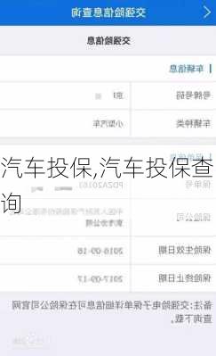 汽车投保,汽车投保查询