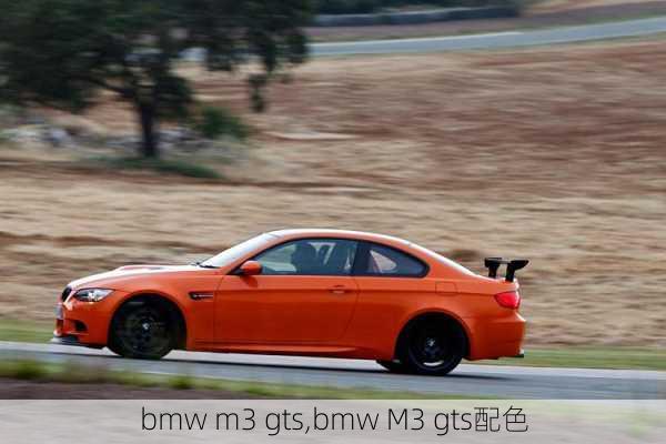 bmw m3 gts,bmw M3 gts配色