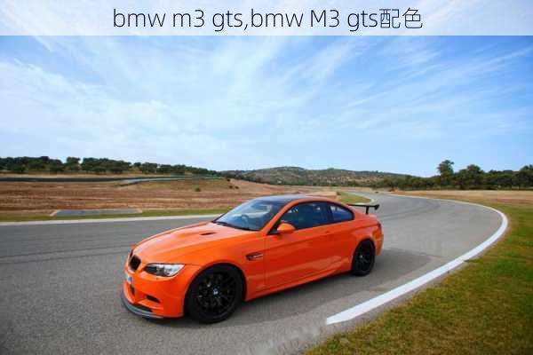 bmw m3 gts,bmw M3 gts配色