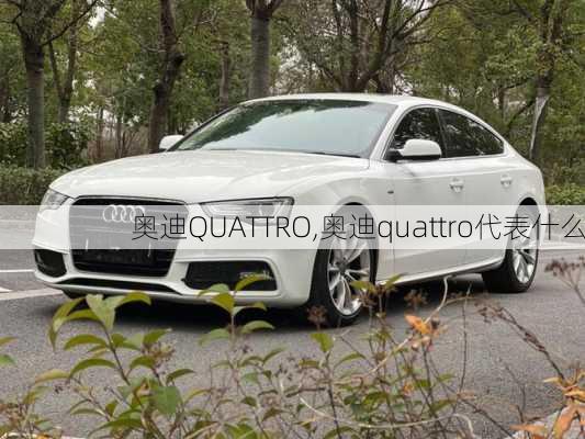 奥迪QUATTRO,奥迪quattro代表什么