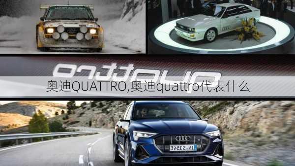 奥迪QUATTRO,奥迪quattro代表什么