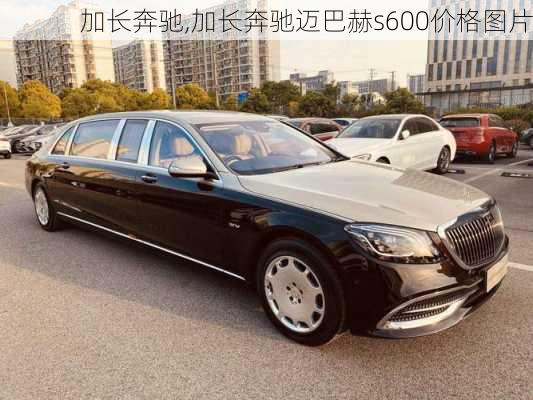 加长奔驰,加长奔驰迈巴赫s600价格图片