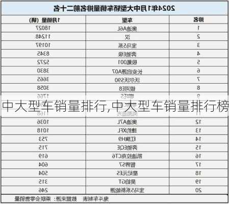 中大型车销量排行,中大型车销量排行榜