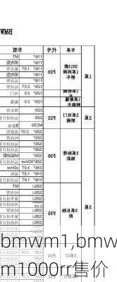 bmwm1,bmwm1000rr售价