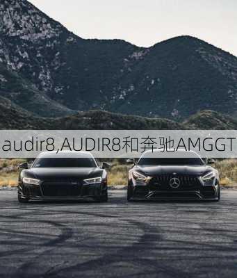 audir8,AUDIR8和奔驰AMGGT