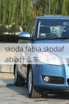 skoda fabia,skodafabia什么车