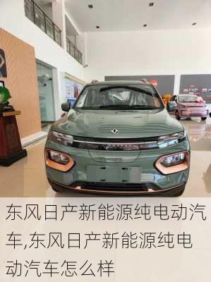 东风日产新能源纯电动汽车,东风日产新能源纯电动汽车怎么样