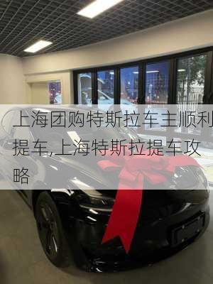 上海团购特斯拉车主顺利提车,上海特斯拉提车攻略