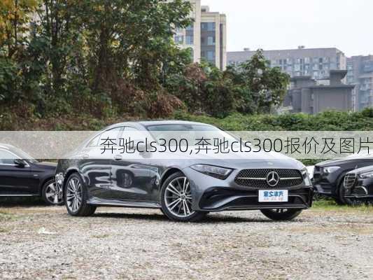 奔驰cls300,奔驰cls300报价及图片