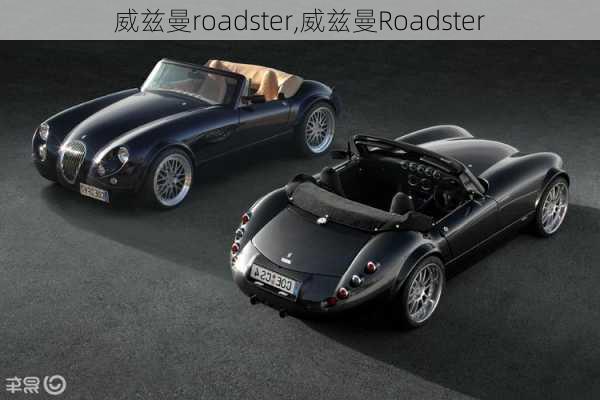 威兹曼roadster,威兹曼Roadster