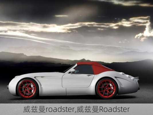 威兹曼roadster,威兹曼Roadster