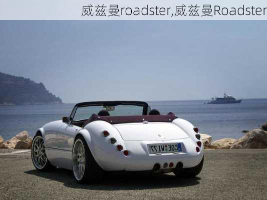 威兹曼roadster,威兹曼Roadster