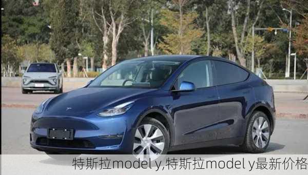 特斯拉model y,特斯拉model y最新价格