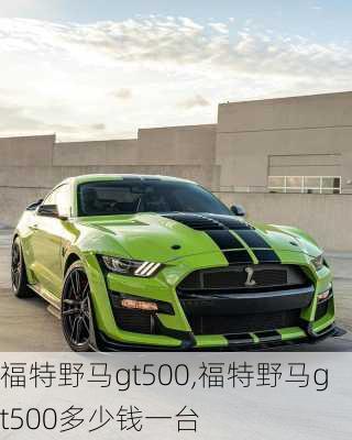 福特野马gt500,福特野马gt500多少钱一台