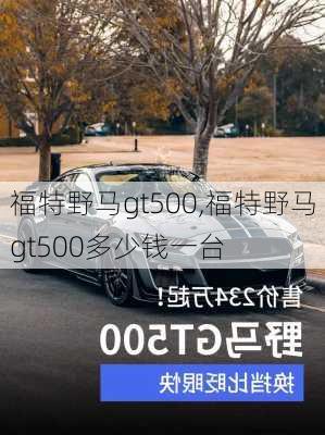 福特野马gt500,福特野马gt500多少钱一台