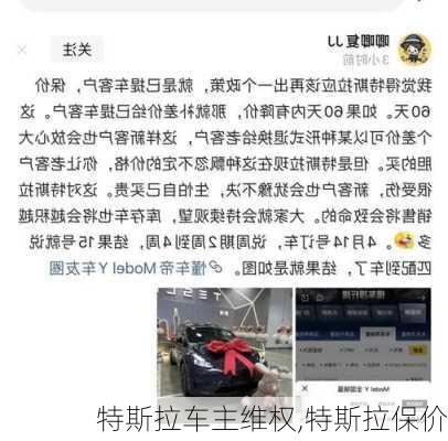 特斯拉车主维权,特斯拉保价