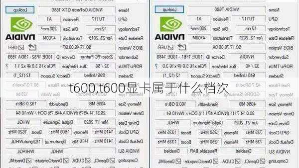 t600,t600显卡属于什么档次