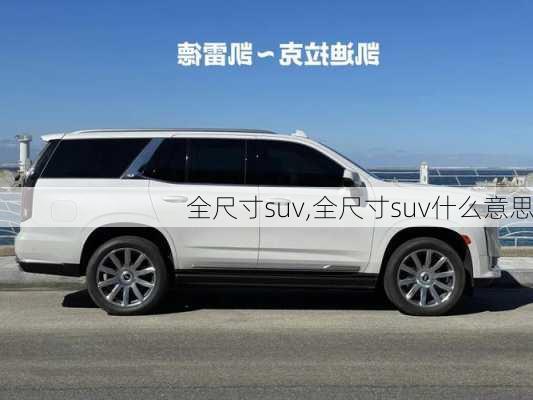 全尺寸suv,全尺寸suv什么意思