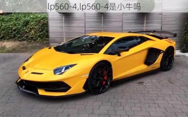 lp560-4,lp560-4是小牛吗