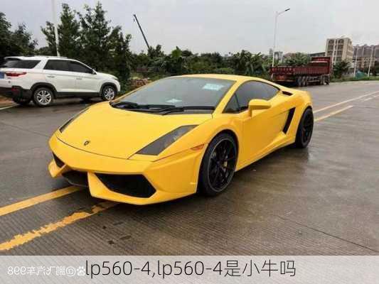 lp560-4,lp560-4是小牛吗