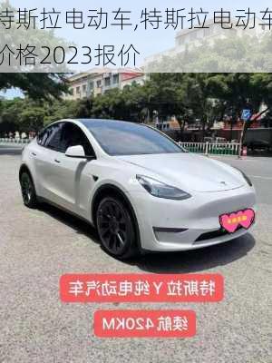 特斯拉电动车,特斯拉电动车价格2023报价