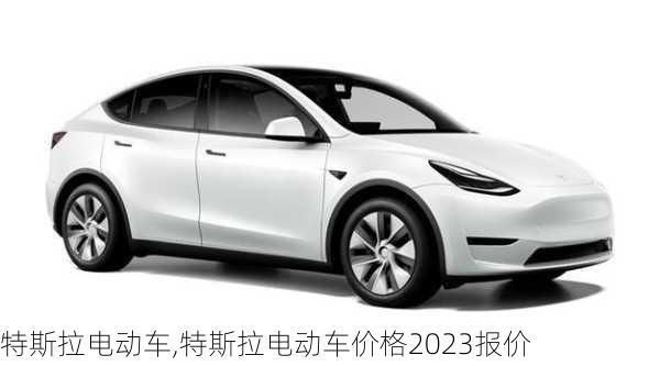 特斯拉电动车,特斯拉电动车价格2023报价