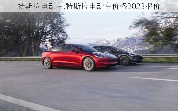 特斯拉电动车,特斯拉电动车价格2023报价