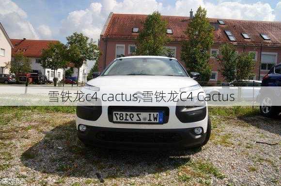 雪铁龙c4 cactus,雪铁龙C4 Cactus