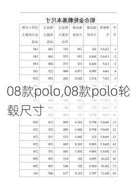 08款polo,08款polo轮毂尺寸