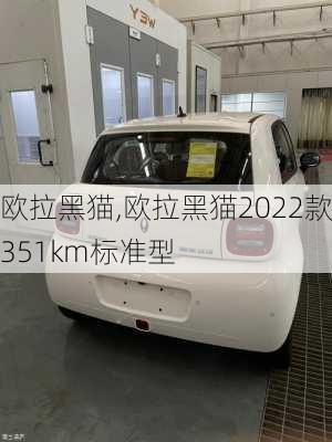 欧拉黑猫,欧拉黑猫2022款351km标准型