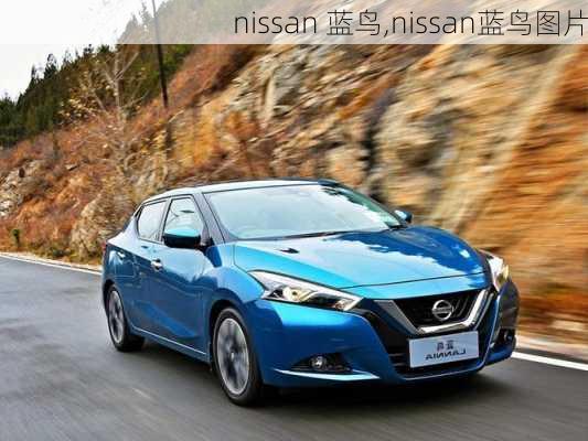 nissan 蓝鸟,nissan蓝鸟图片