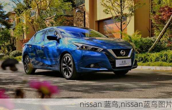 nissan 蓝鸟,nissan蓝鸟图片