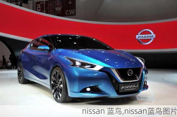 nissan 蓝鸟,nissan蓝鸟图片